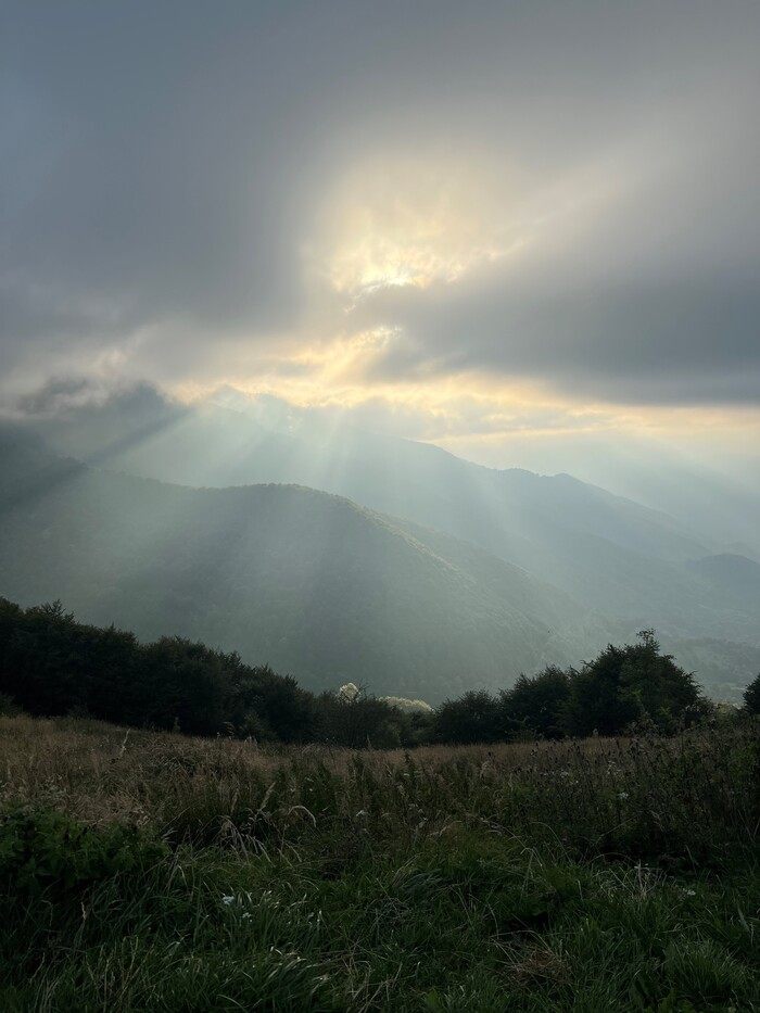 Illustration badasssss