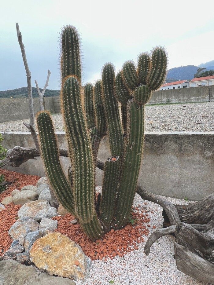 Illustration douleurs Inconforts