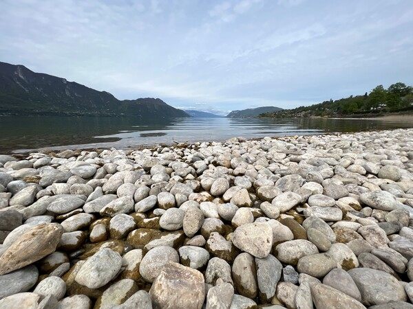 Illustration flexible Detente