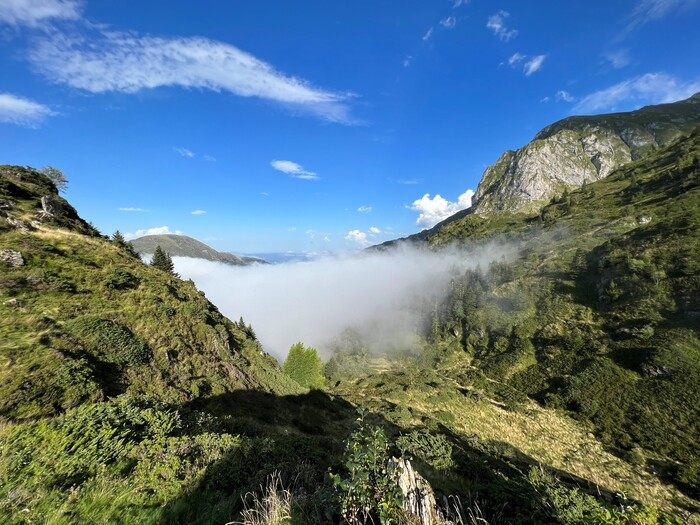 Illustration illu Mieux Vivre