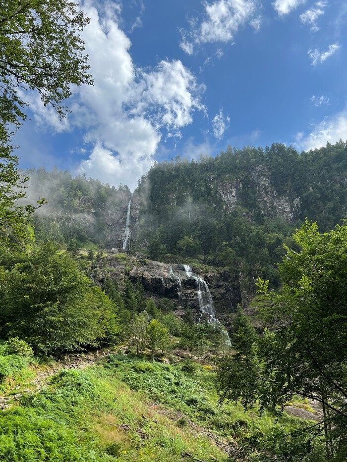 Paysage de nature pour l'accompagnement des douleurs chroniques